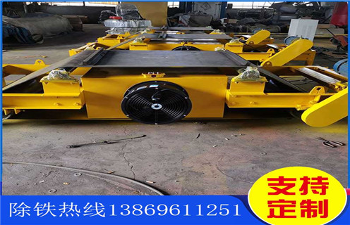 電磁除鐵器,風(fēng)冷電磁除鐵器,風(fēng)冷電磁除鐵器廠(chǎng)家,浙江風(fēng)冷式電磁除鐵器生產(chǎn)廠(chǎng)家